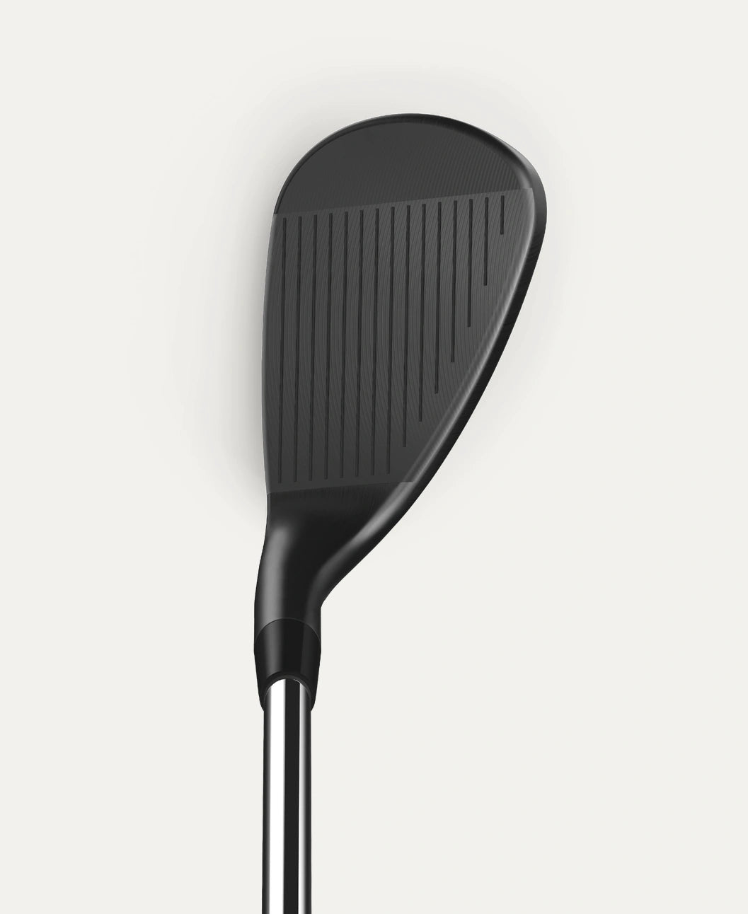 Infinite Wedge